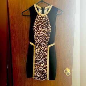 Cheetah print form fitting dress